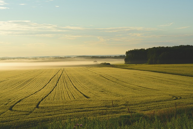 Kalkulator glavna stranica